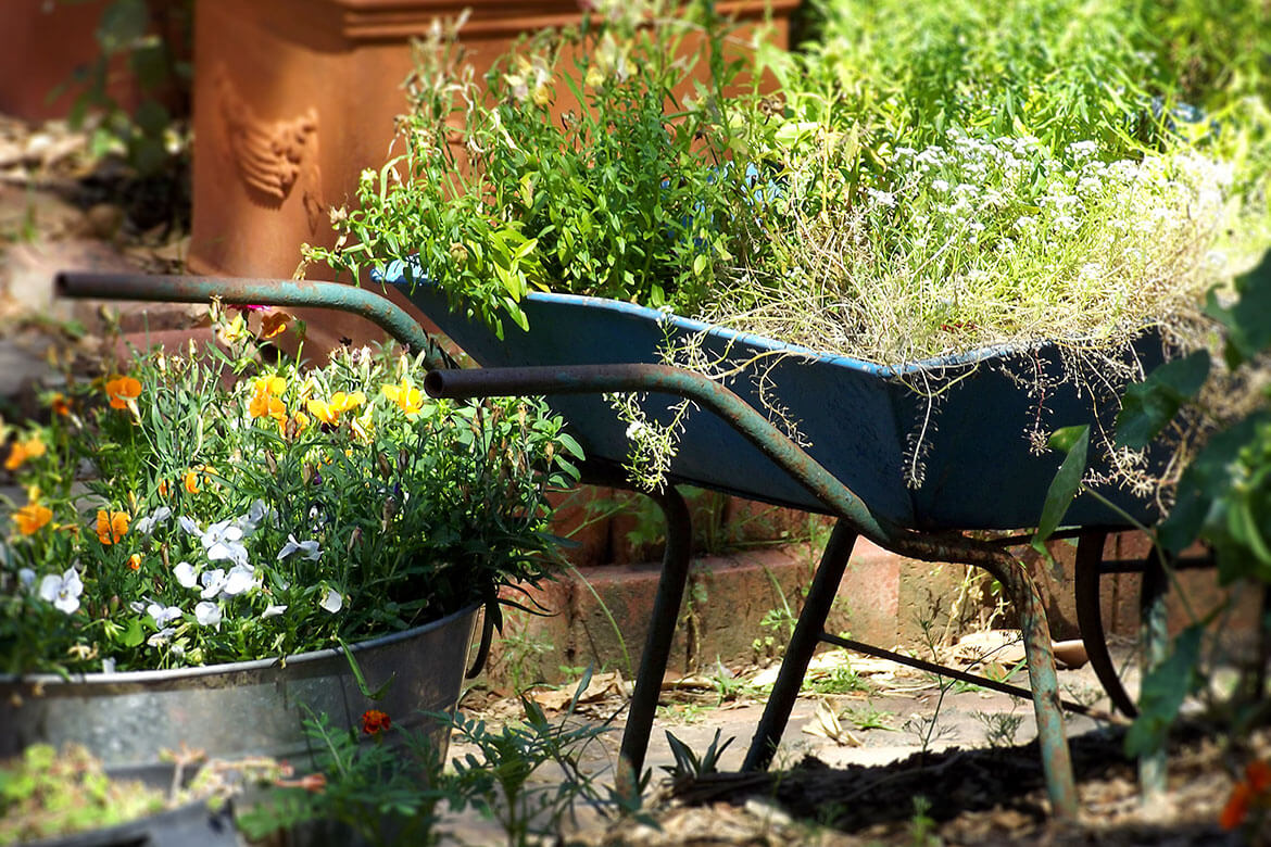Upcycling Ideen für den Garten mit alter Schubkarre